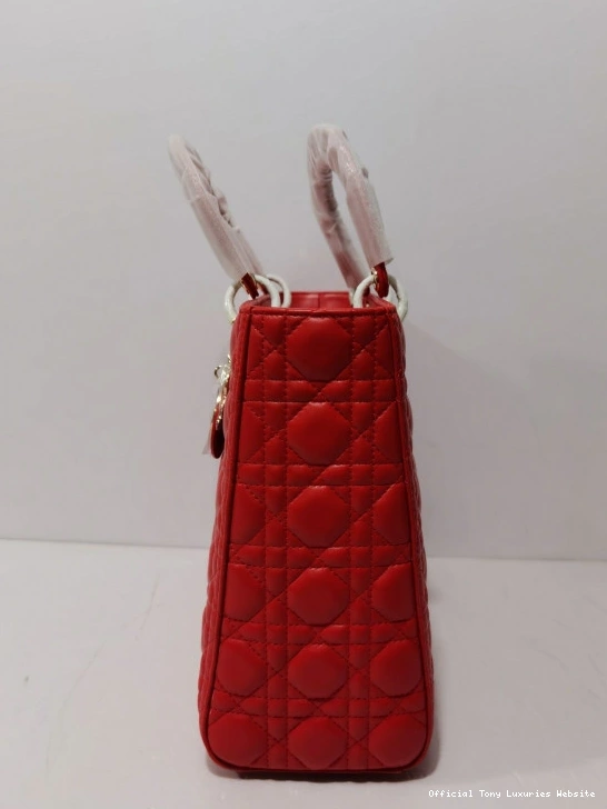 Tony Luxuries BAG LARGE LADY diro 0712
